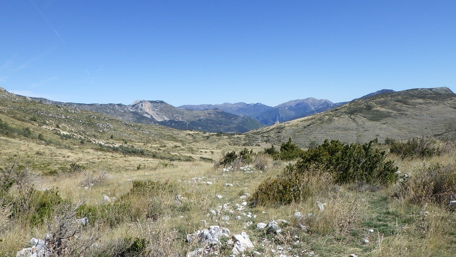 Au plateau de suech haut verdon 3 