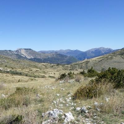 Au plateau de suech haut verdon 3 