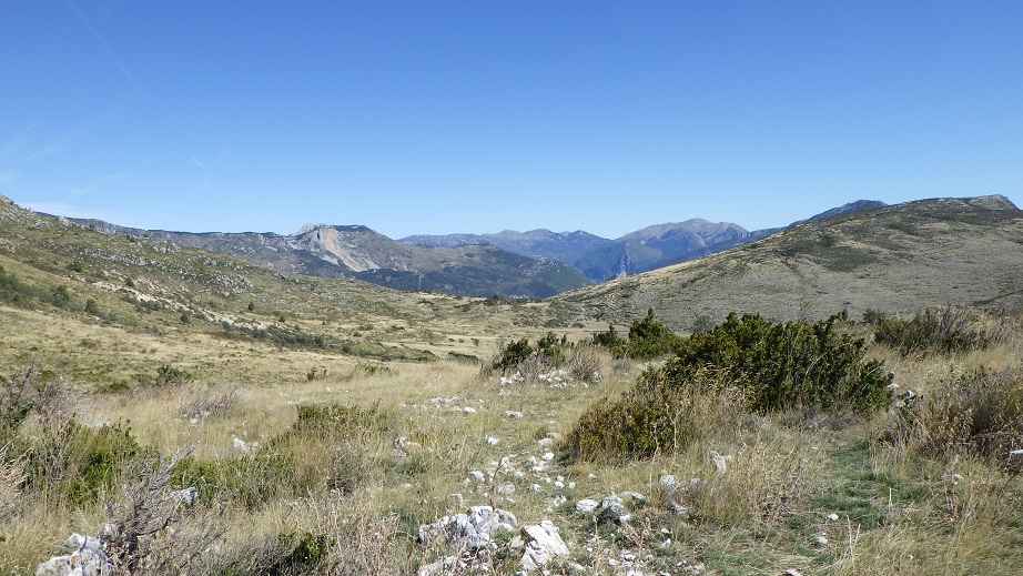 Au Plateau de Suech - Haut Verdon) (3)