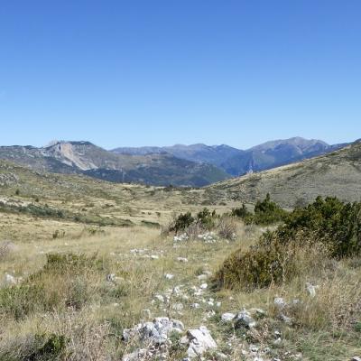 Au Plateau de Suech - Haut Verdon) (3)