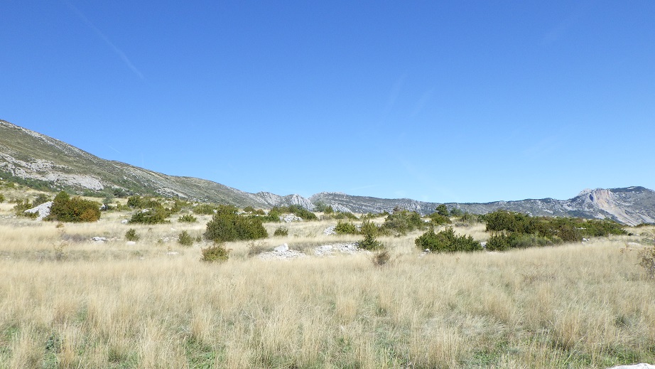 Au Plateau de Suech - Haut Verdon) (31)