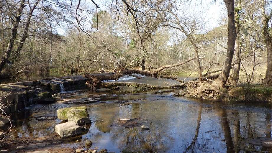 Les Cascades de L ' Aille - Centre Var