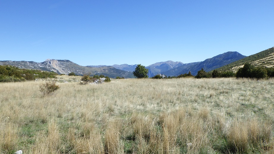 Au Plateau de Suech - Haut Verdon) (39)