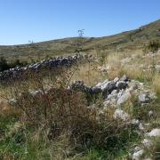 Au plateau de suech haut verdon 36