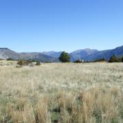 Au plateau de suech haut verdon 39