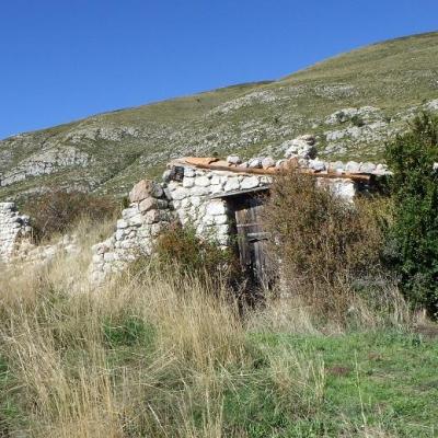 Au plateau du suech 60