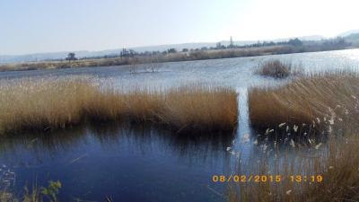 Autour de l etang du bolmon 83