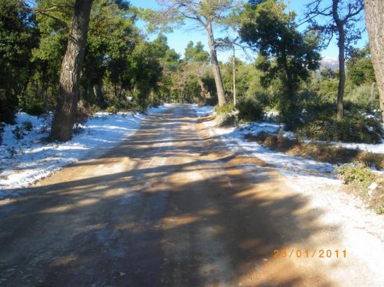 autour-de-riboux-avec-la-neige-44.jpg