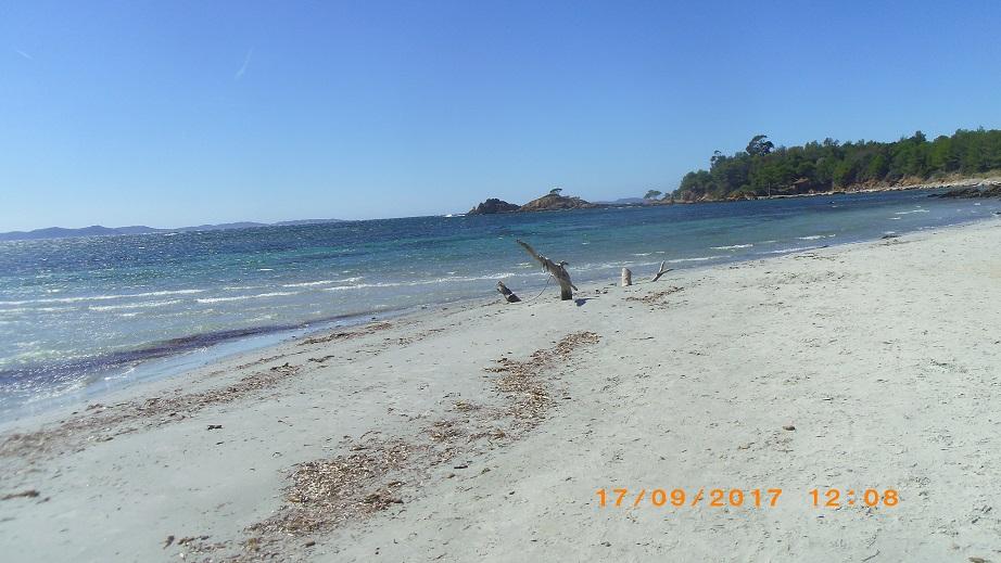 Imgp0035 1