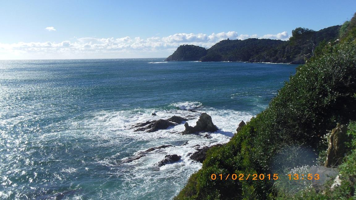 Imgp7039