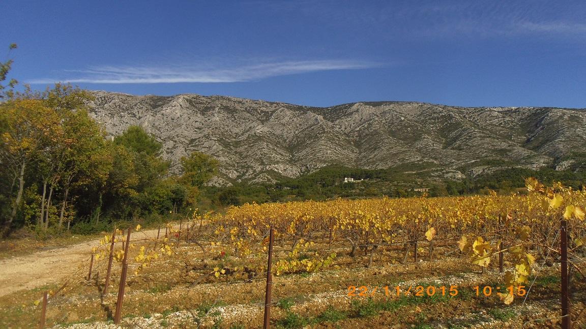 Le sentier des vignerons puyloubier 17 2