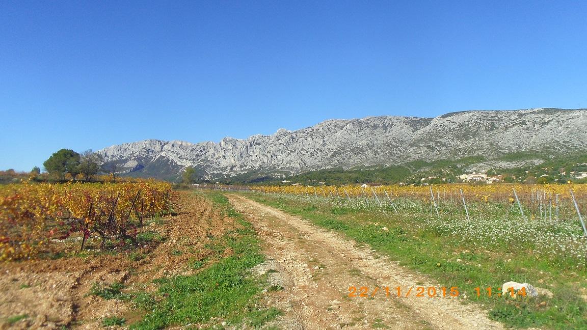 Le sentier des vignerons puyloubier 44 2