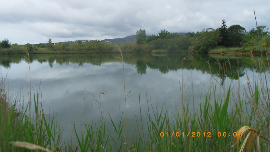 Les etangs de villepey 3