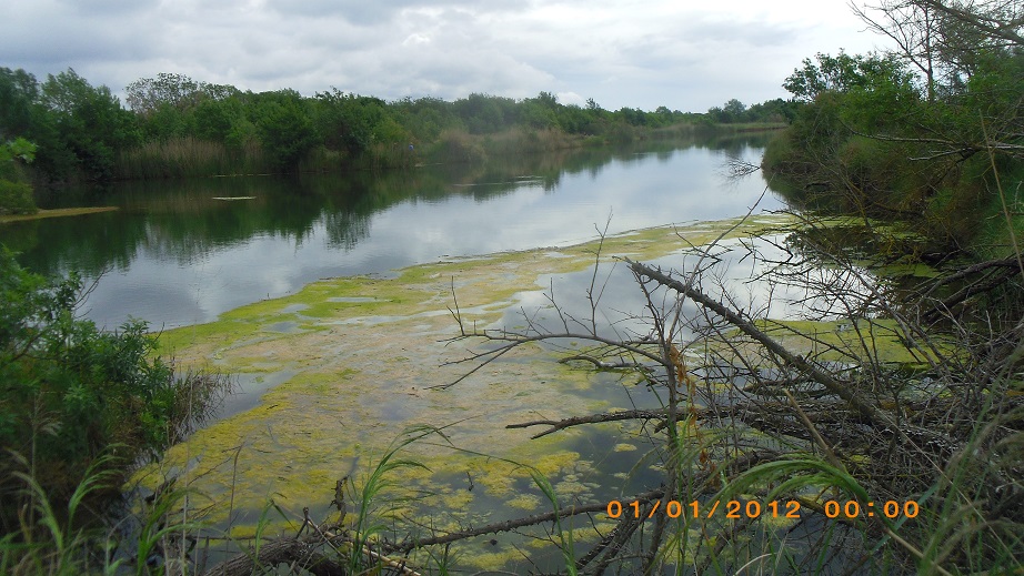 Les etangs de villepey 4