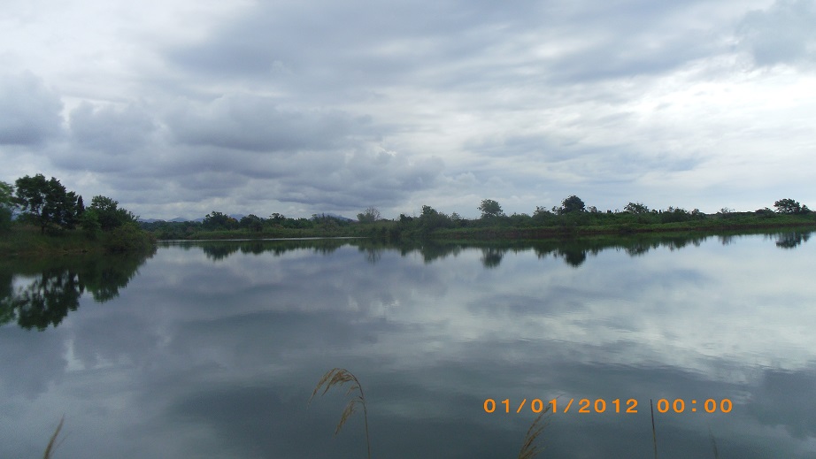 Les etangs de villepey 5