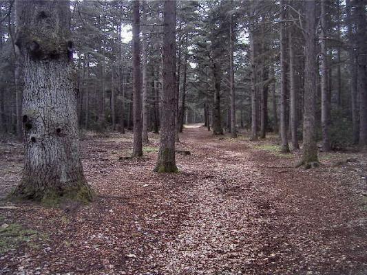 luberon-2007-022.jpg