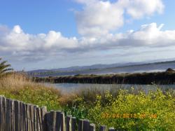 plage-et-route-du-sel-25.jpg