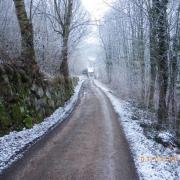 Sejour dans les vosges 198