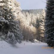 Sejour dans les vosges 208