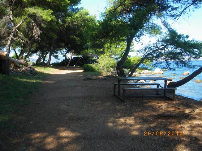 St honorat 14